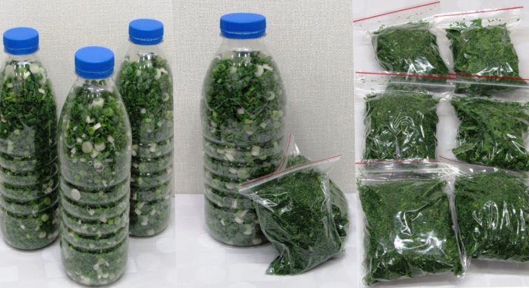 Запасаемся зеленым луком на зиму. Как правильно это делать, чтобы долго хранился!