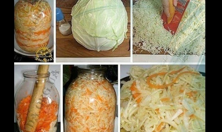 Моментальная квашеная капуста в банке — просто бесподобный рецепт!