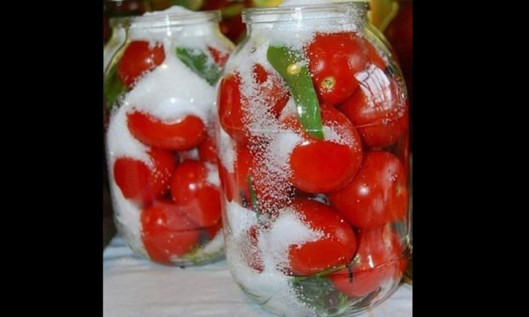 Самые вкусные помидоры «Царские»