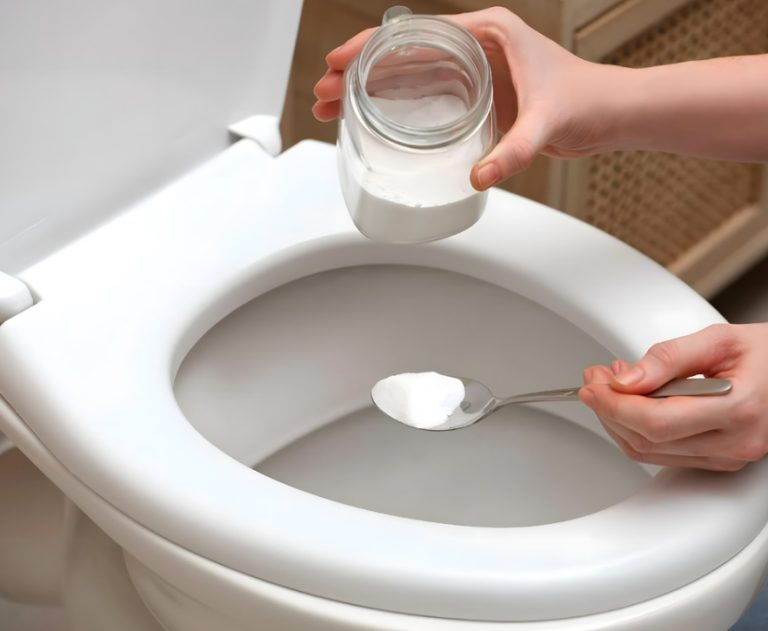 «Перед приходом гостей — сыплю 7 ложек соли в унитаз и душа спокойна»: Домашняя хитрость!