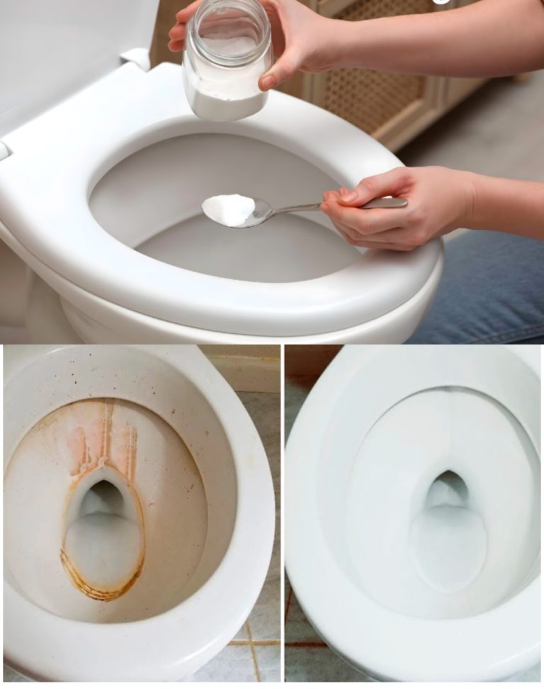 «Перед приходом гостей — сыплю 7 ложек соли в унитаз и душа спокойна»: Домашняя хитрость