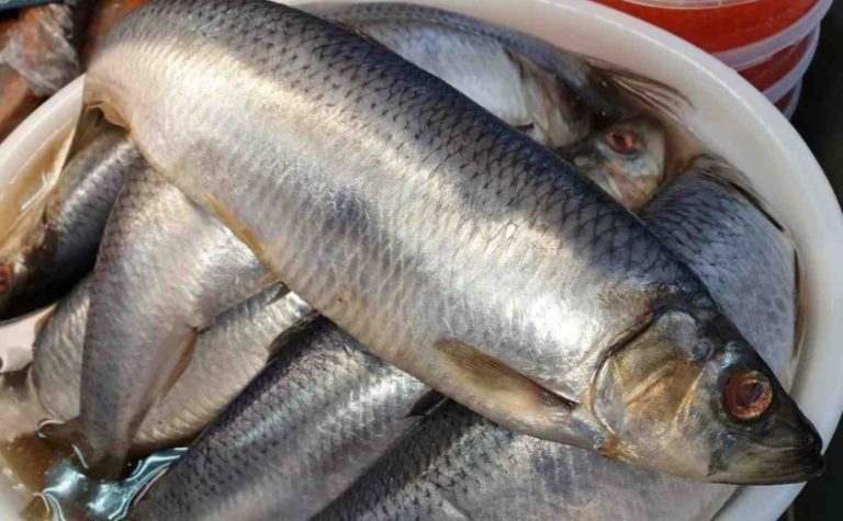 Вкуснейший рецепт Селедки под шубой, и не большая история с рынка покупки селедки