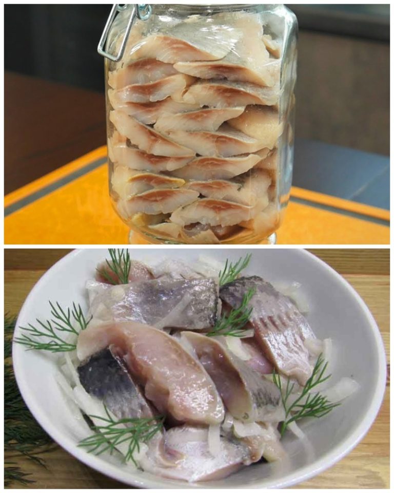 Селедка в банке получается вкуснее красной рыбы. Закрываем и просто ждем