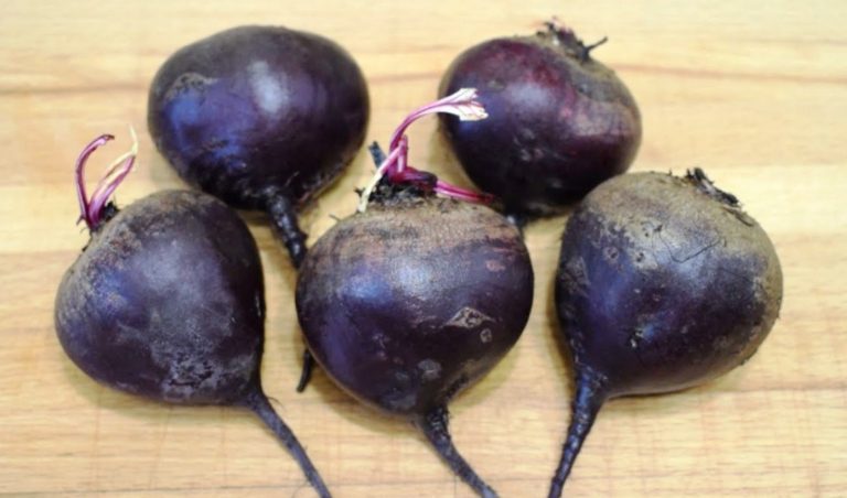 Съели тазик за вечер. Новый салат из свеклы, который съедается моментально!