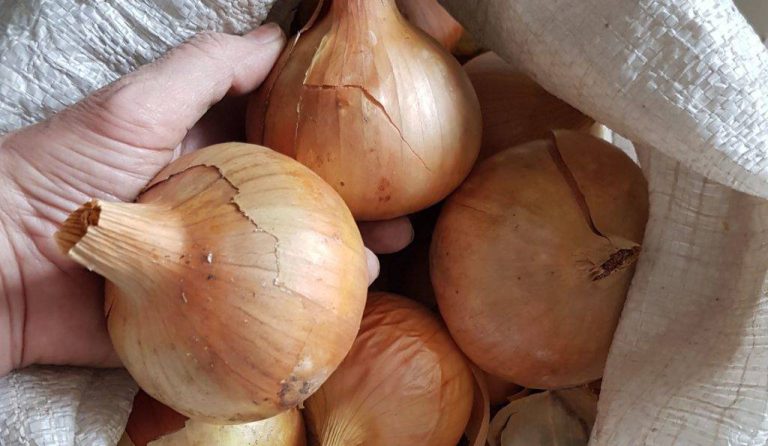 Как правильно хранить лук в квартире, чтобы не сгнил и не начал расти!