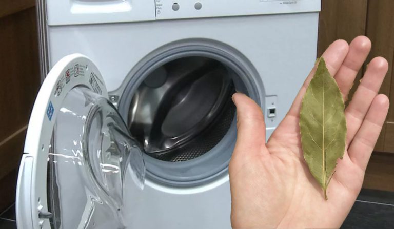 Зачем опытные хозяйки при стирке используют лавровый лист: об этом мало кто знает
