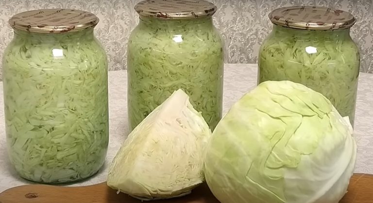 Свежая капуста круглый год: простой рецепт. Как сохранить молодую капусту на зиму!