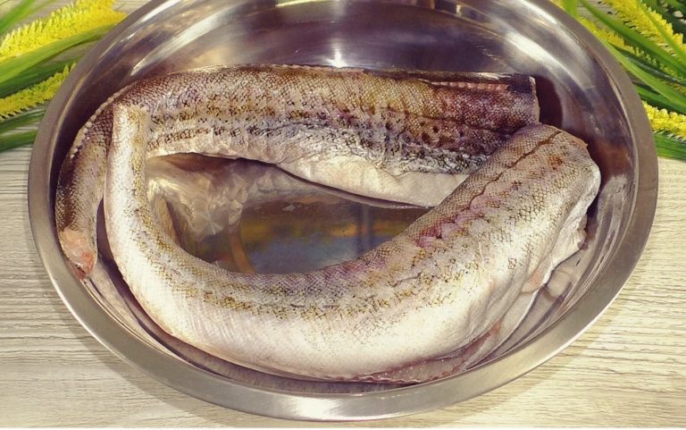 Не успеваю покупать минтай после того, как узнала «Сливочный» рецепт: намного вкуснее жареного!