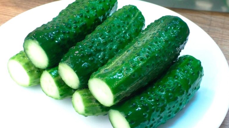 Рецепт вкусных малосольных огурчиков. Делаю на минералке: получаются очень хрустящие!