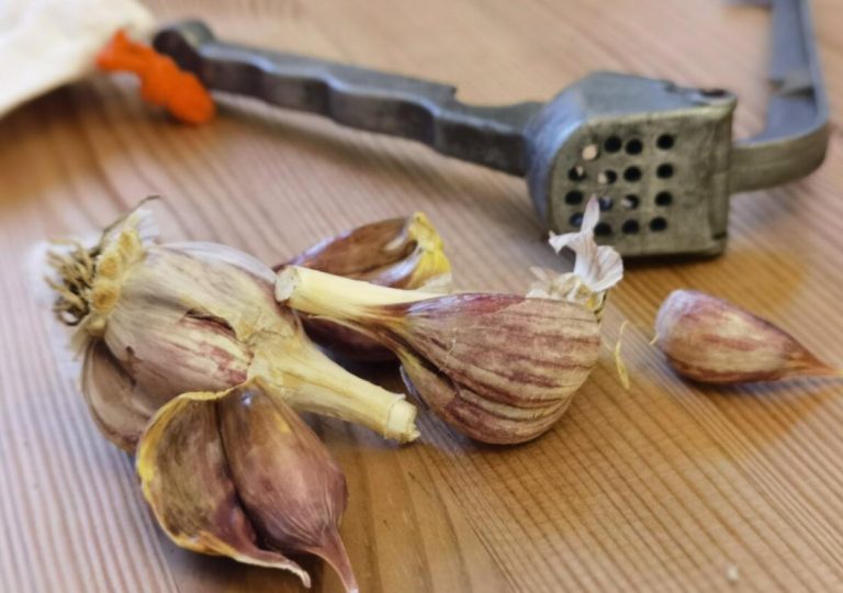 30 лет готовлю, а чеснокодавилку использовала неправильно: показываю хитрости с ней