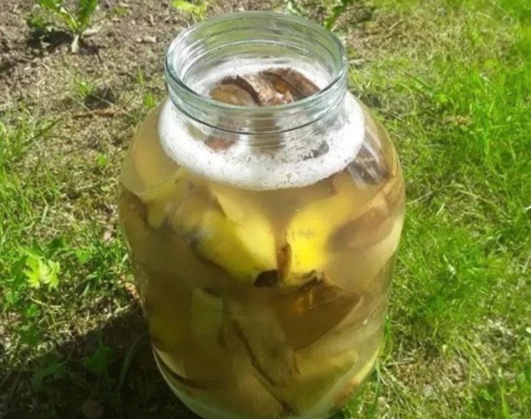 Угостите муравьев этим «десертом» и они вместе с тлёй исчeзнут с yчастка