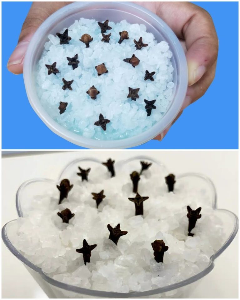 Все удивляются, почему у меня дома пахнет так дорого. Рассказываю, как делаю «дорогой» ароматизатор за копейки!