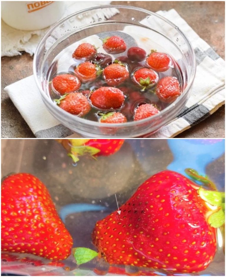 Если клубнику окунуть в соленую воду, то из нее вылезут паразиты. Оказалось правдой: что вылезло!