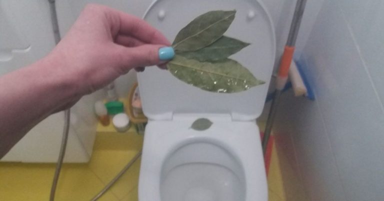 Для чего опытные хозяйки бросают в унитаз лавровый лист