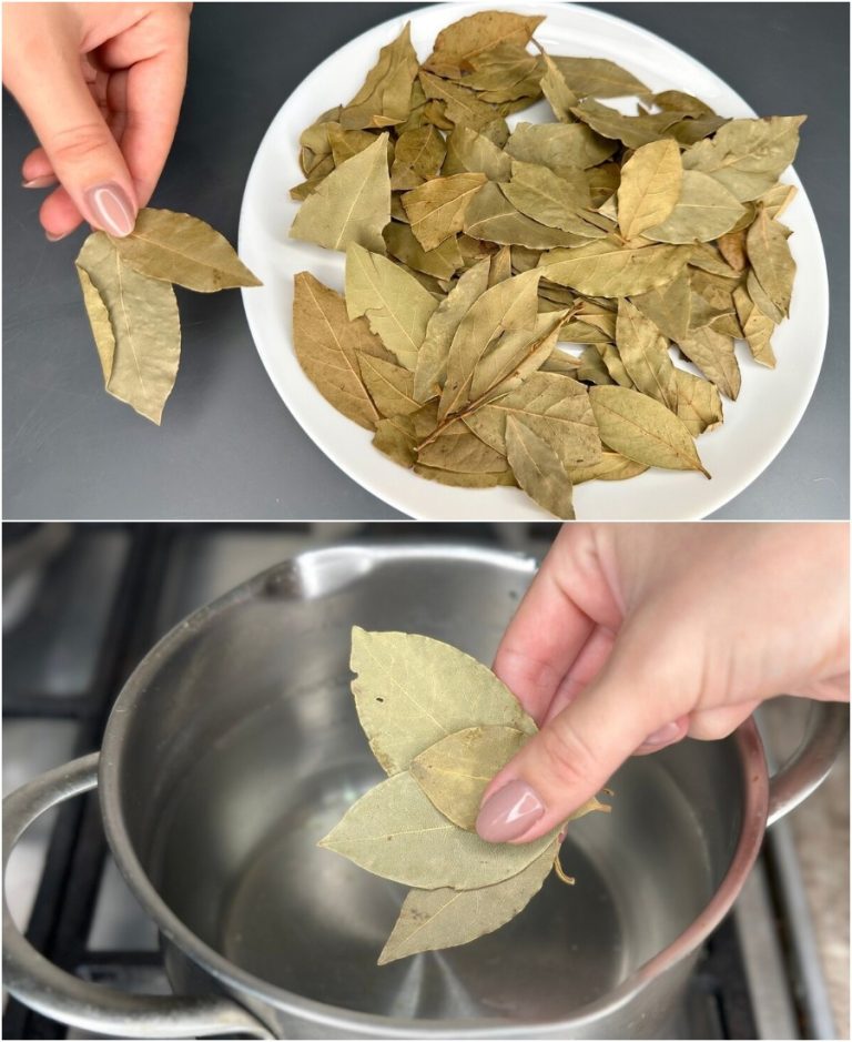 Армянка показала 5 хитростей с лавровым листом: у нас так никто не делает. Делюсь находкой!