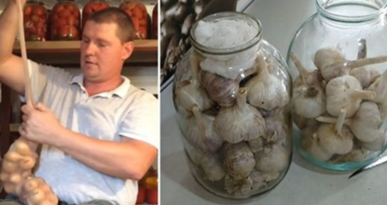 Как правильно хранить лук и чеснок, чтобы он хорошо сохранился до следующего урожая