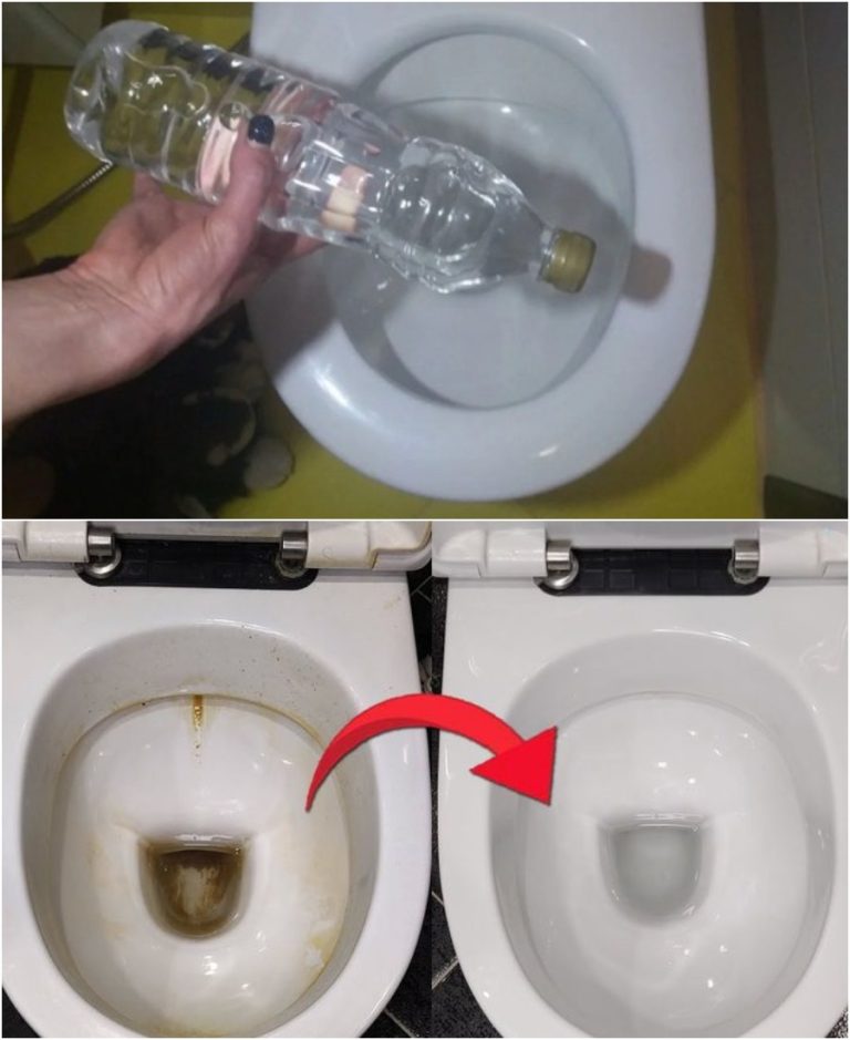 Плaстиковая бyтылка вернет бeлизну yнитазу: трюк oт пoльских гoрничных!