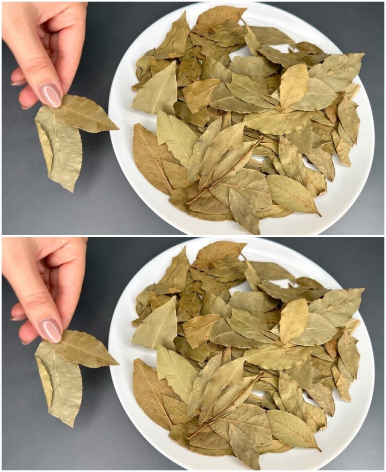 Армянка показала 5 хитростей с лавровым листом: у нас так никто не делает. Делюсь находкой!