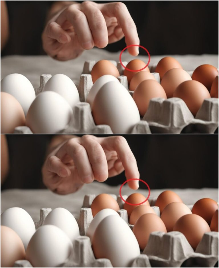 «Никогда больше не бери такие яйца, даже если скидка большая и цена хорошая» — сказала свекровь.