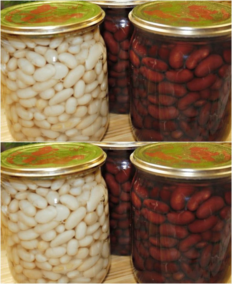 Консервированная фасоль на зиму: рецепт, который должна знать каждая хозяйка