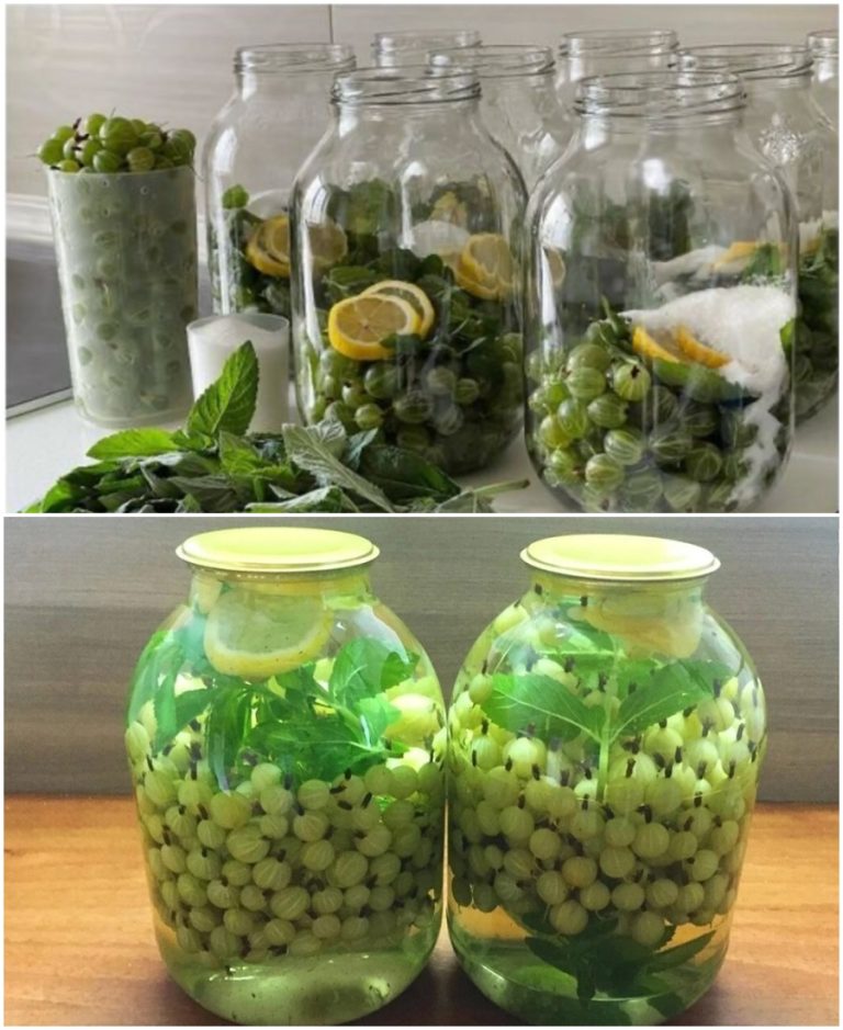 Хоть 100 банок закрой — все равно будет мало. Вкусный мохито из зеленого крыжовника