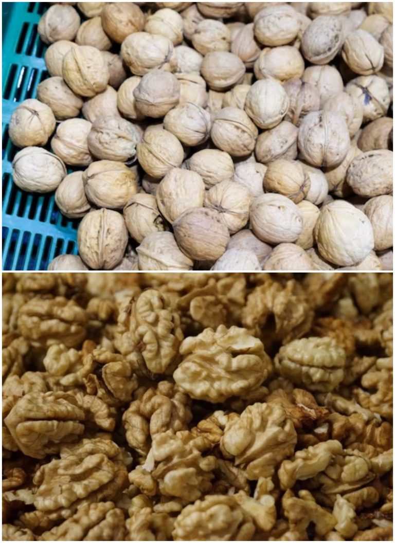 Теперь знаю, как скупщики грецких орехов чистят их от скорлупы, чтобы орех оставался целым