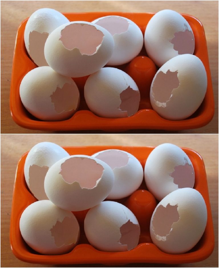 3 года мужик собирал у себя на участке яичную скорлупу от всех родственников. Соседи ухмылялись, а потом узнали секрет и стали делать также