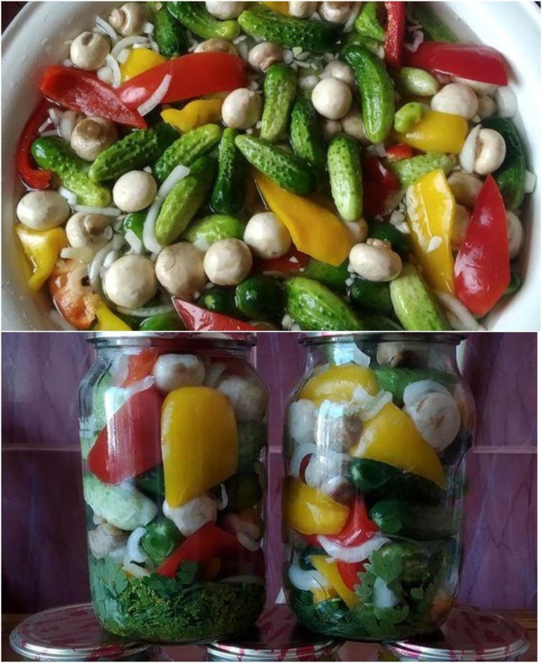 Консервированные огурцы с шампиньонами на зиму. Закрываю уже третий год подряд