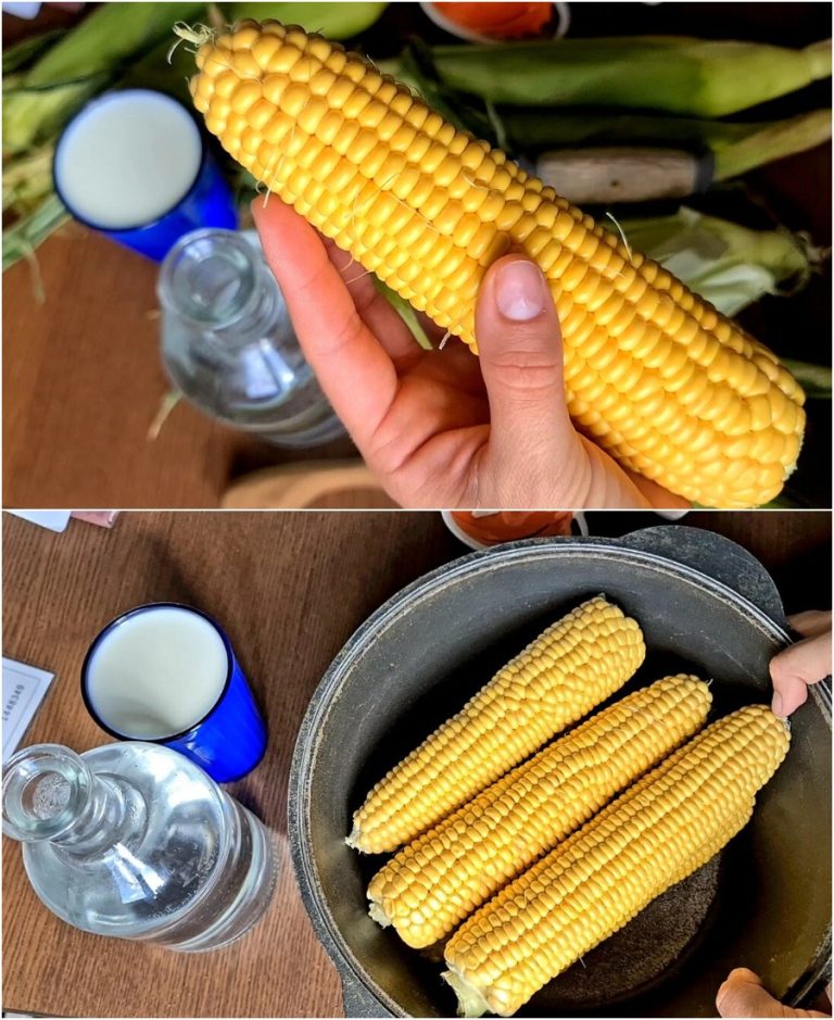 Теперь кукурузу для детей варю только по американски. Мягкая, сочная, с необычным ароматом сливок