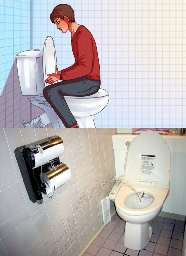 Почему японцы садятся на унитаз лицом вперед