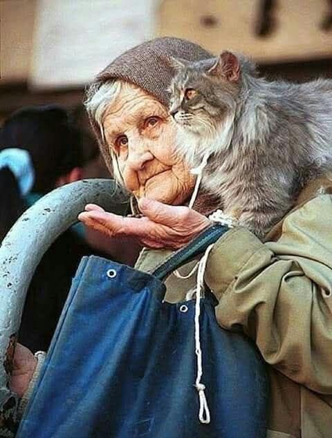 – Не буду больше жить с вами! Вам всё не так! – Яна смотрела на мать сердито и обиженно. – Ладно в детстве: туда не ходи, то не делай, но сейчас мне двадцать, мам! Двадцать. Я уже два года, как совершеннолетняя.